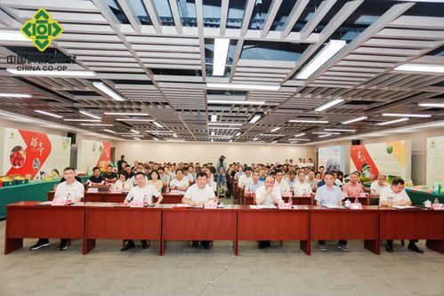 携手合作，共创繁荣 2024年海南农副产品（孝感）产销对接暨琼鄂文化交流推介活动成功举办